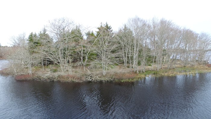 WentworthHalbinsel (66)